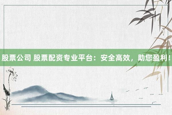 股票公司 股票配资专业平台：安全高效，助您盈利！