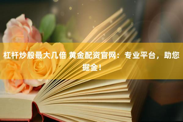 杠杆炒股最大几倍 黄金配资官网：专业平台，助您掘金！