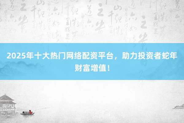 2025年十大热门网络配资平台，助力投资者蛇年财富增值！