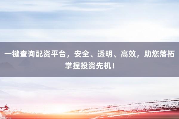 一键查询配资平台，安全、透明、高效，助您落拓掌捏投资先机！