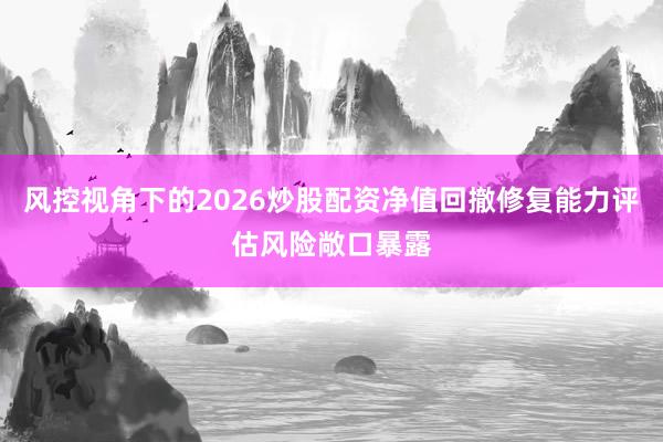 风控视角下的2026炒股配资净值回撤修复能力评估风险敞口暴露