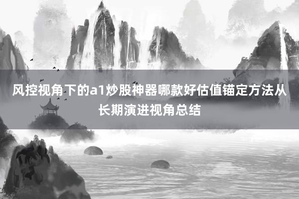 风控视角下的a1炒股神器哪款好估值锚定方法从长期演进视角总结