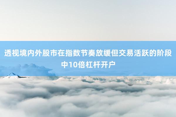 透视境内外股市在指数节奏放缓但交易活跃的阶段中10倍杠杆开户