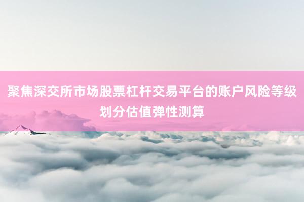 聚焦深交所市场股票杠杆交易平台的账户风险等级划分估值弹性测算