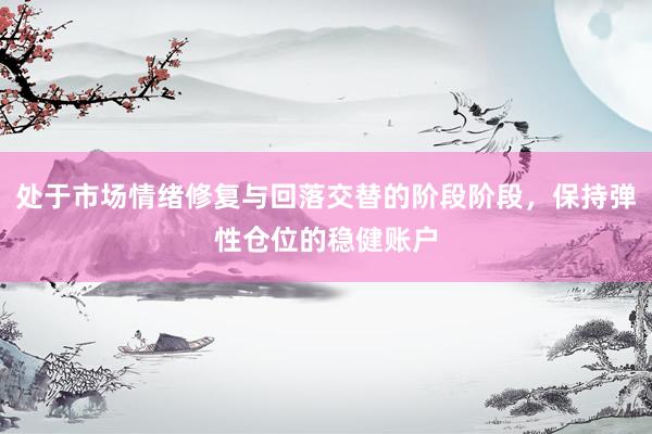 处于市场情绪修复与回落交替的阶段阶段，保持弹性仓位的稳健账户