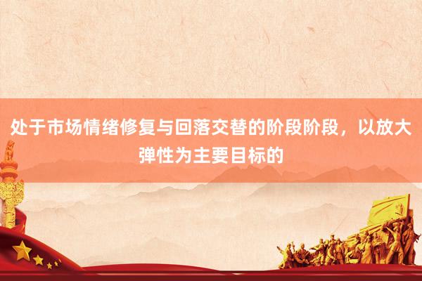处于市场情绪修复与回落交替的阶段阶段，以放大弹性为主要目标的