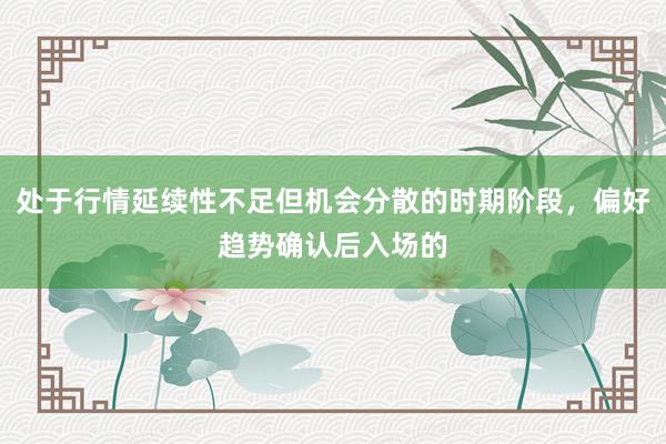 处于行情延续性不足但机会分散的时期阶段，偏好趋势确认后入场的
