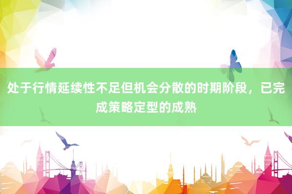 处于行情延续性不足但机会分散的时期阶段，已完成策略定型的成熟