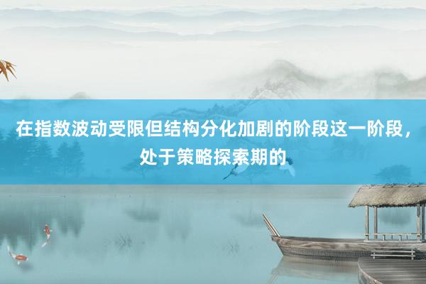 在指数波动受限但结构分化加剧的阶段这一阶段，处于策略探索期的