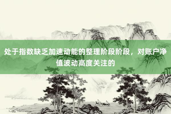处于指数缺乏加速动能的整理阶段阶段，对账户净值波动高度关注的