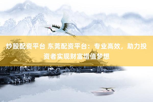 炒股配资平台 东莞配资平台：专业高效，助力投资者实现财富增值梦想